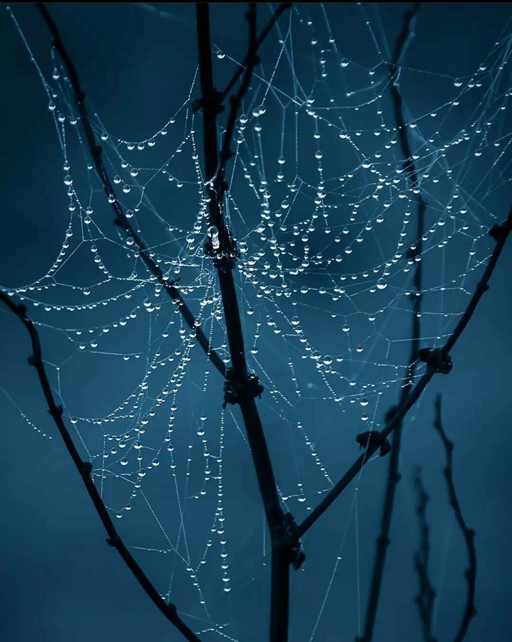 ~•~