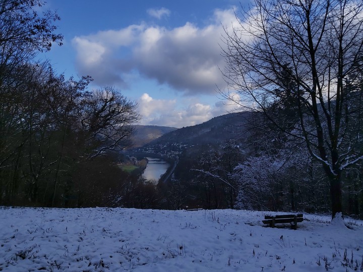 Bench with a view