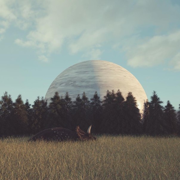 Nature