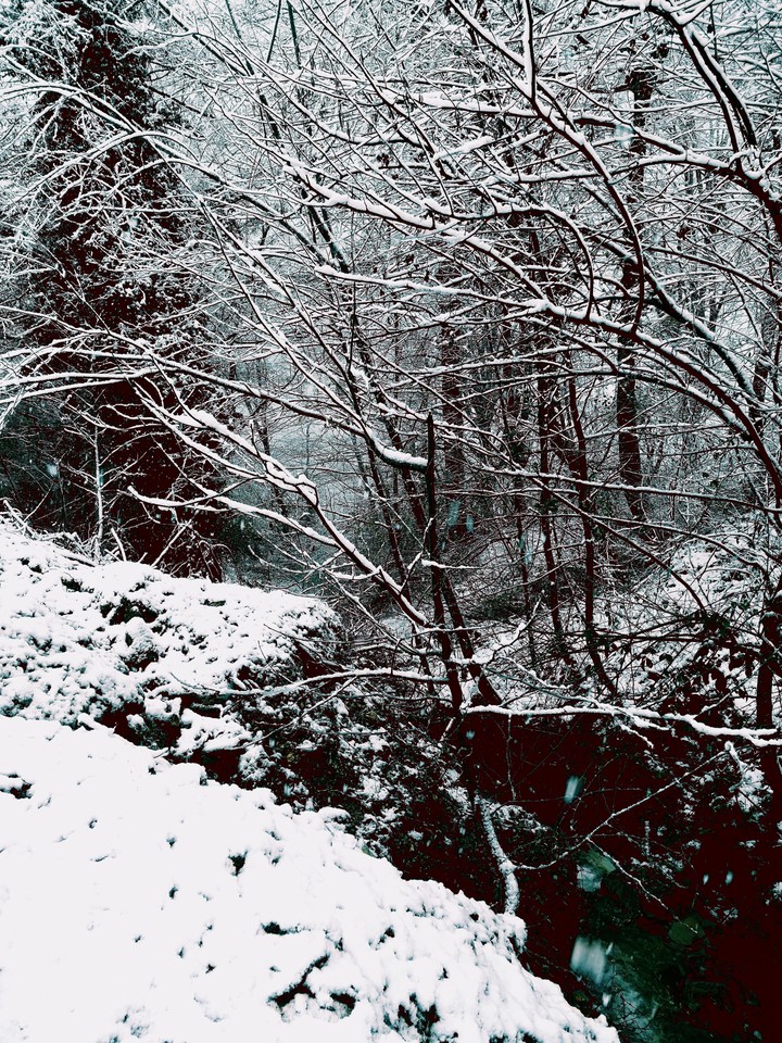 Snow