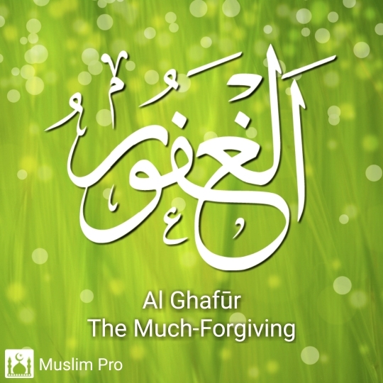 the most forgiving