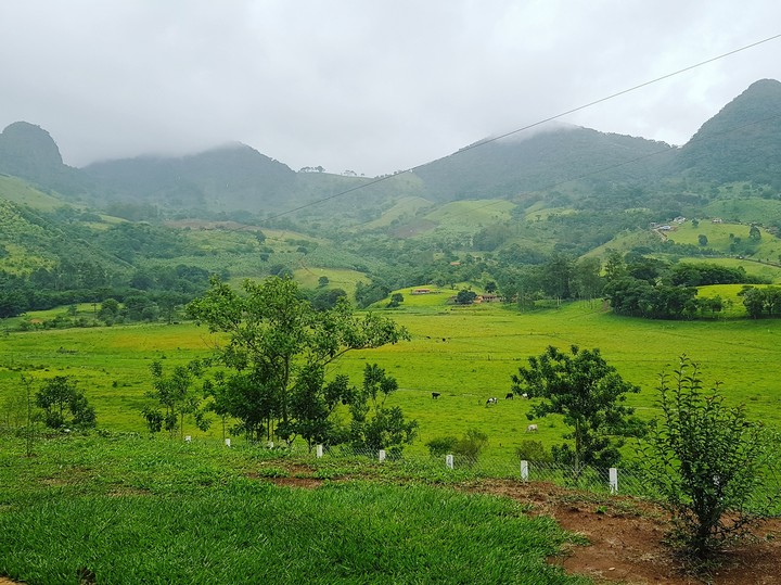 Manhã de Minas