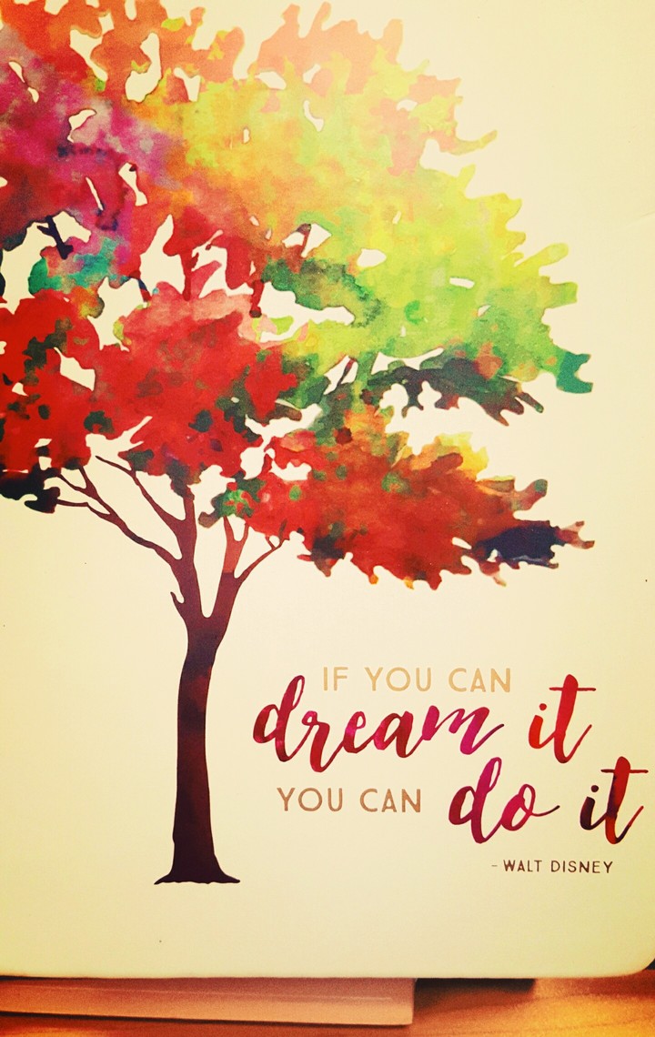 If you can Dream it....
