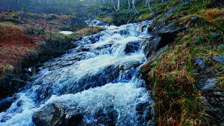 water