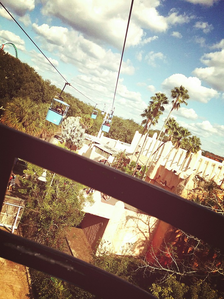 Busch Gardens