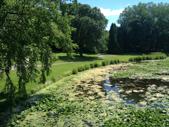 Natureza