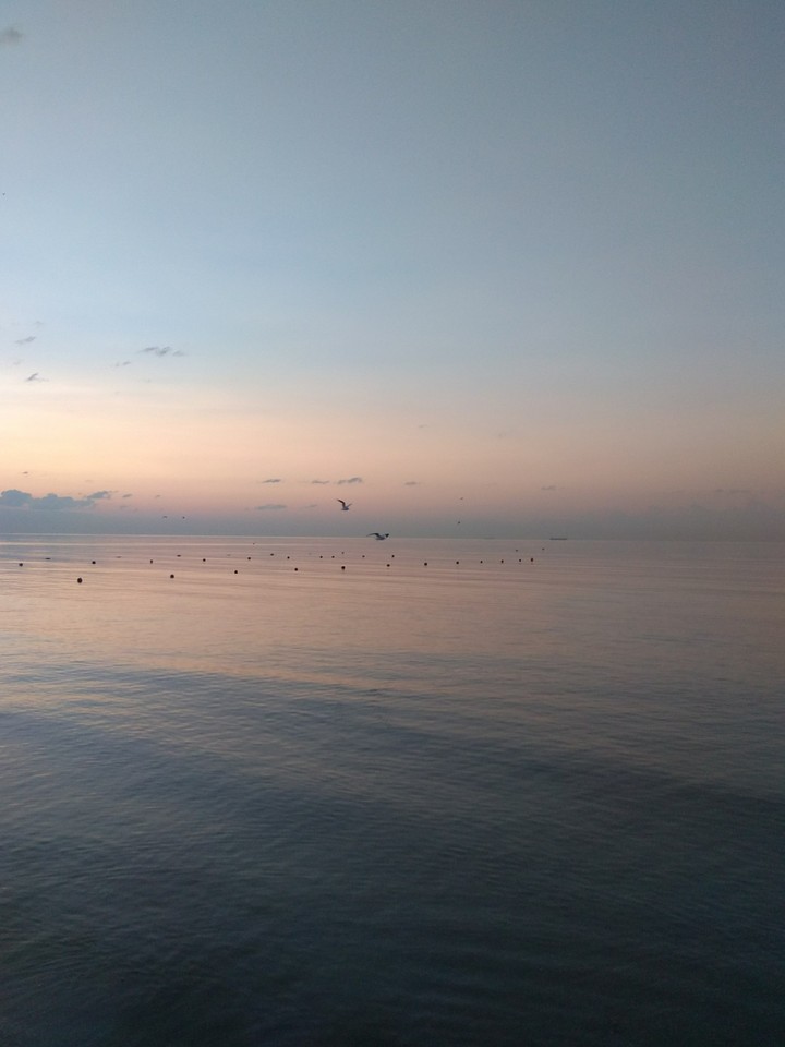 pink sunrise