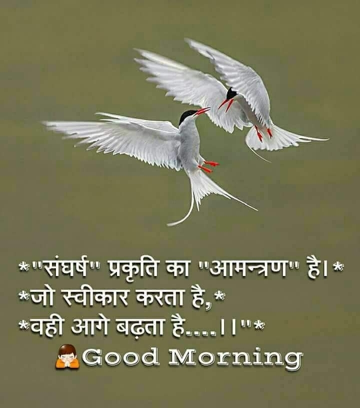good morning