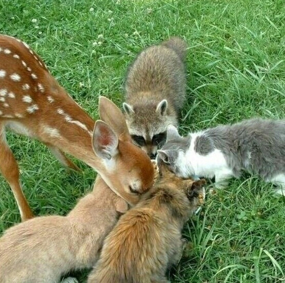 friends
