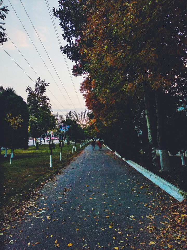 autumn