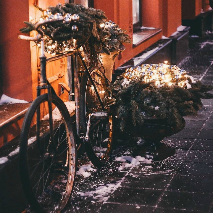 Winter