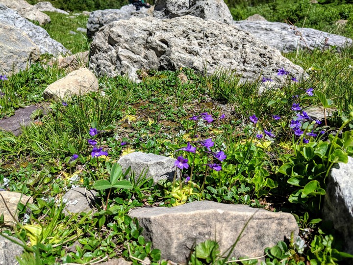 By the trail