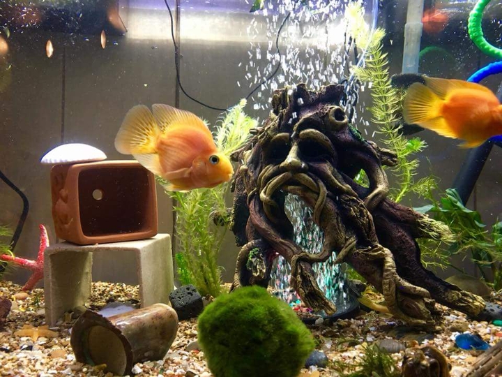 water world,