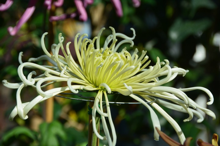수목원이미지