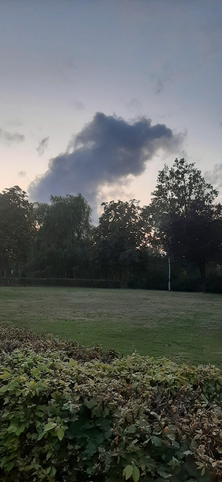 dragon cloud