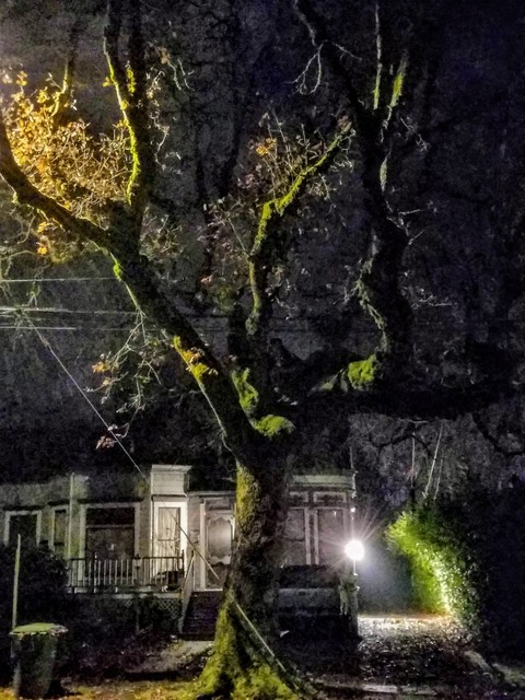 nightlife