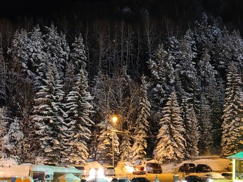 Winter fairy tale
