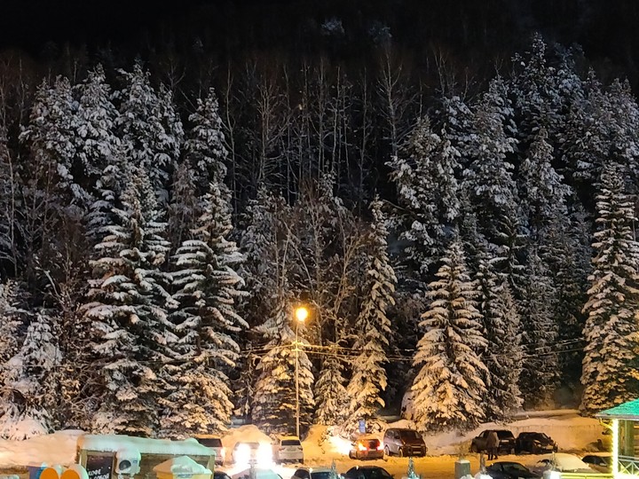 Winter fairy tale