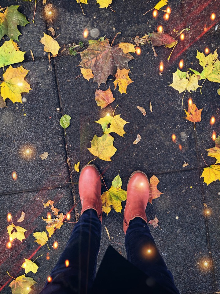 autumn mood
