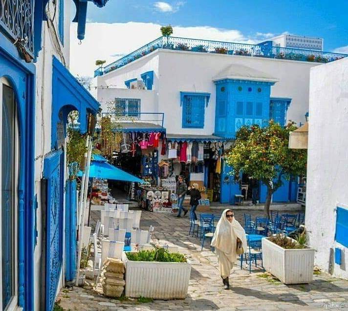 sidi bou said / tunis