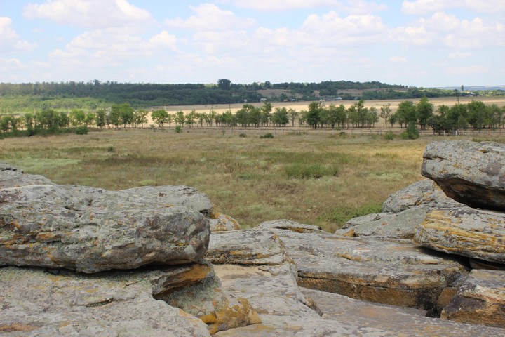 On the top of rock