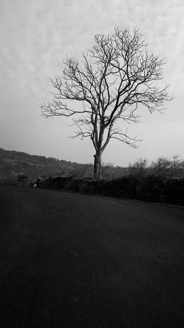 empty