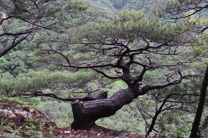 풍경이미지