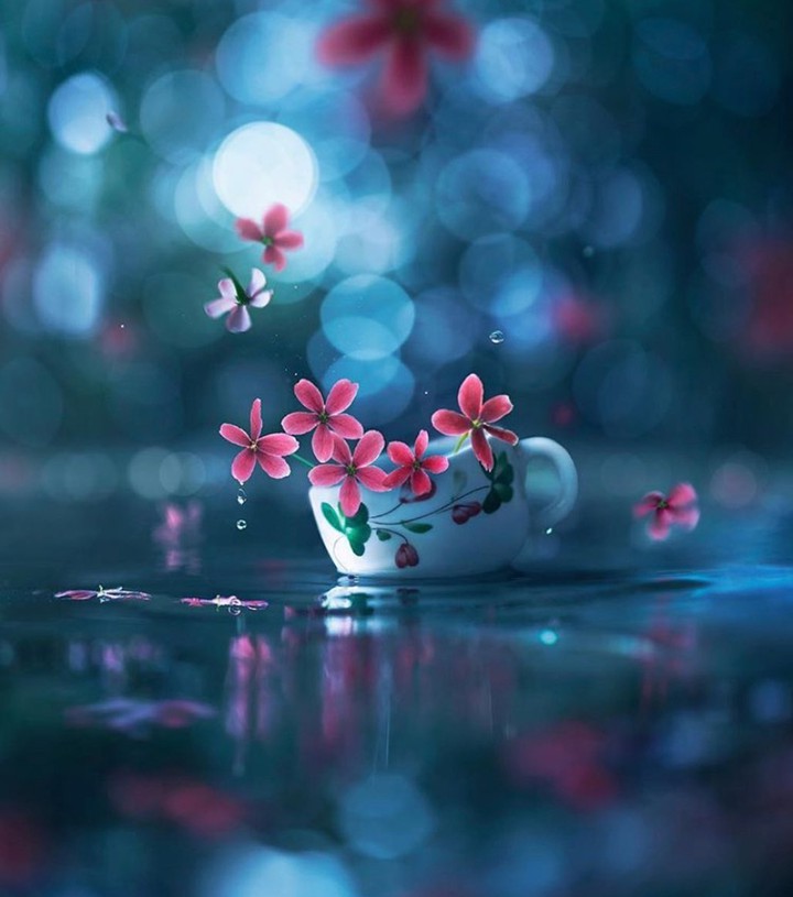 flower in cup