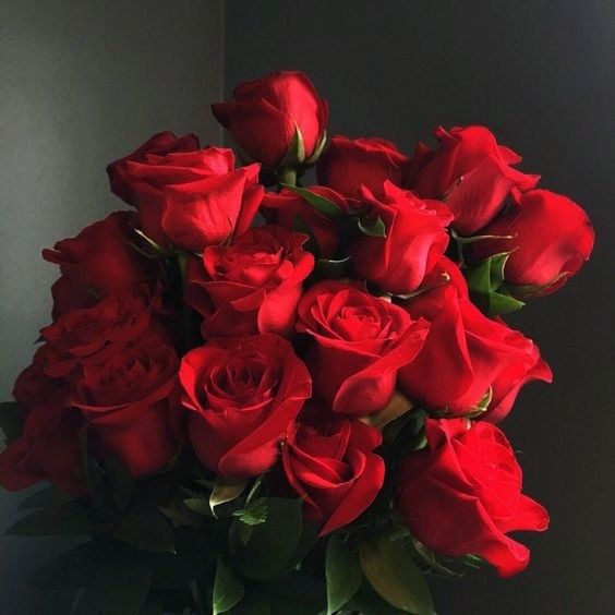 rose