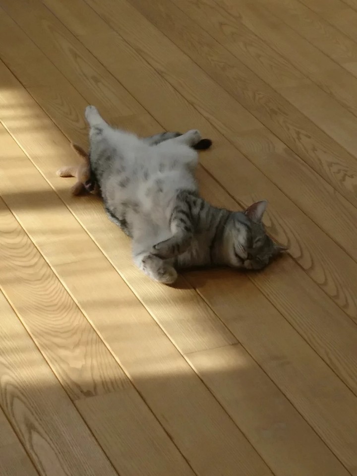 Ляля