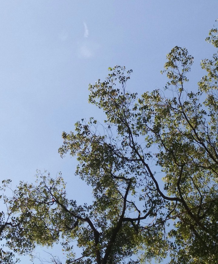 My Blue Sky
