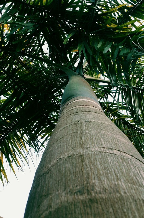 my click