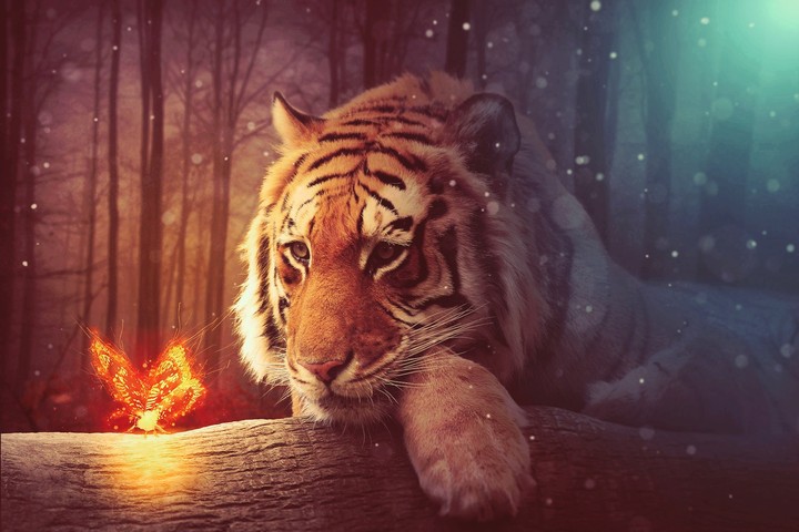 in L0ve