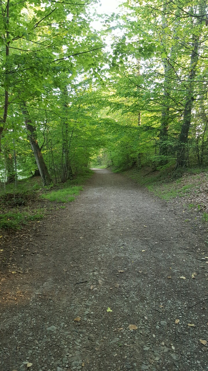 Nature 