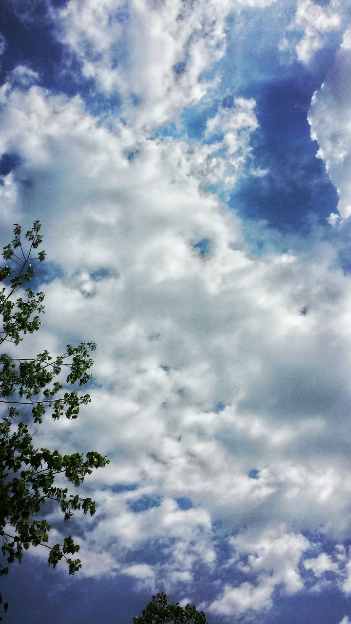 blue sky