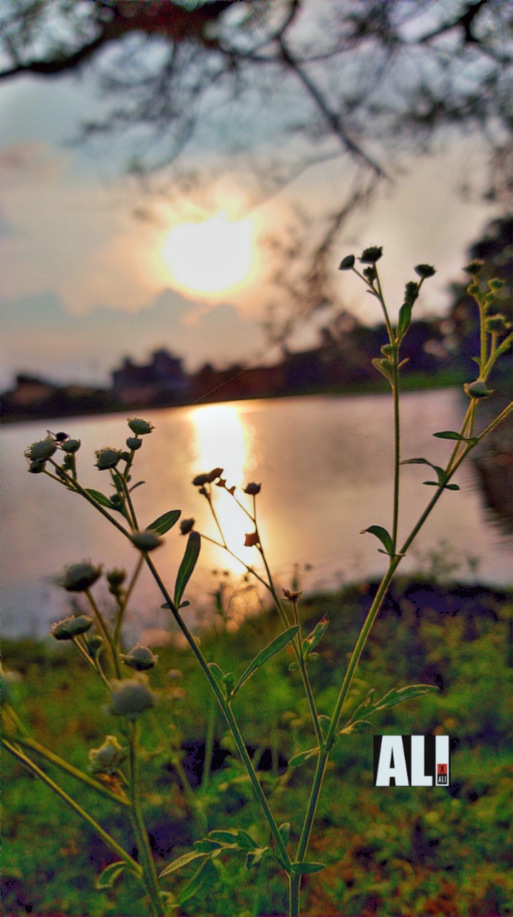 An Evening