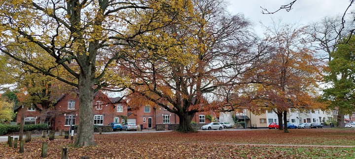 village life