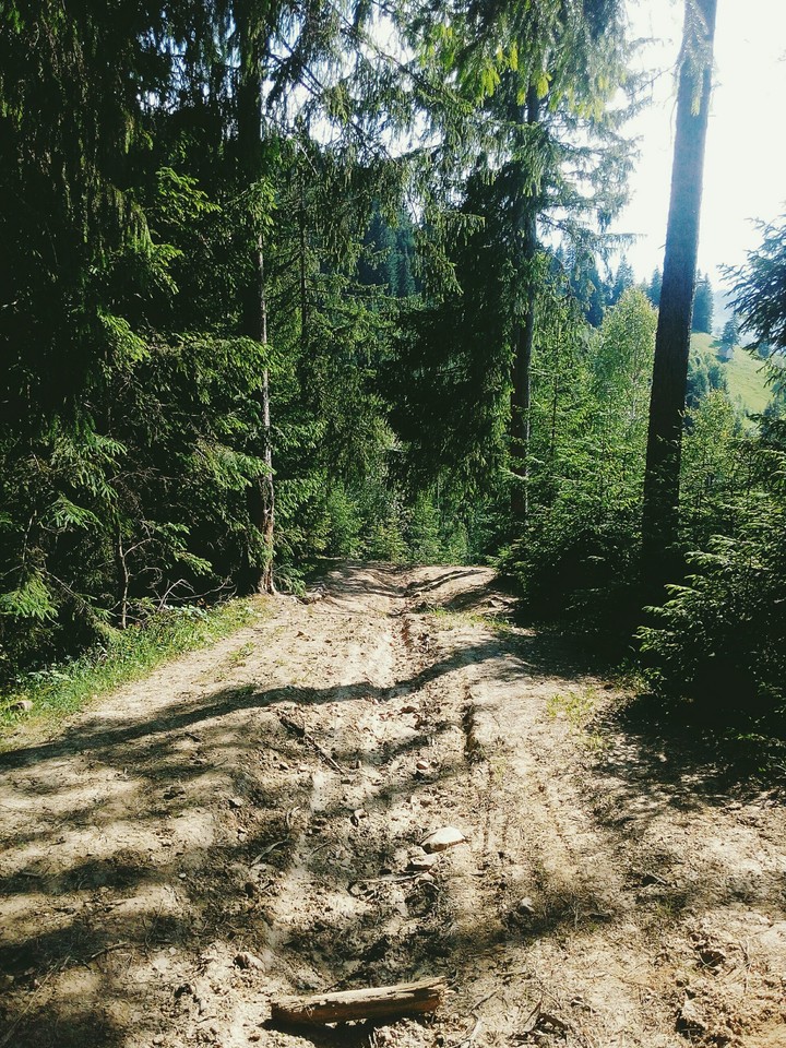 ❤