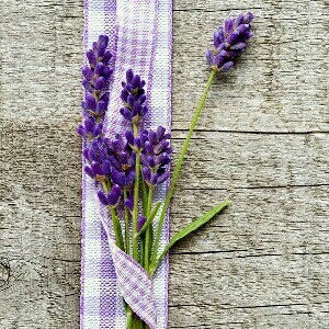 ⚘