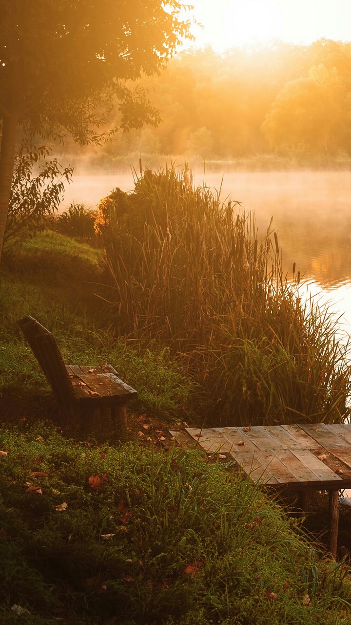 Relaxing nature