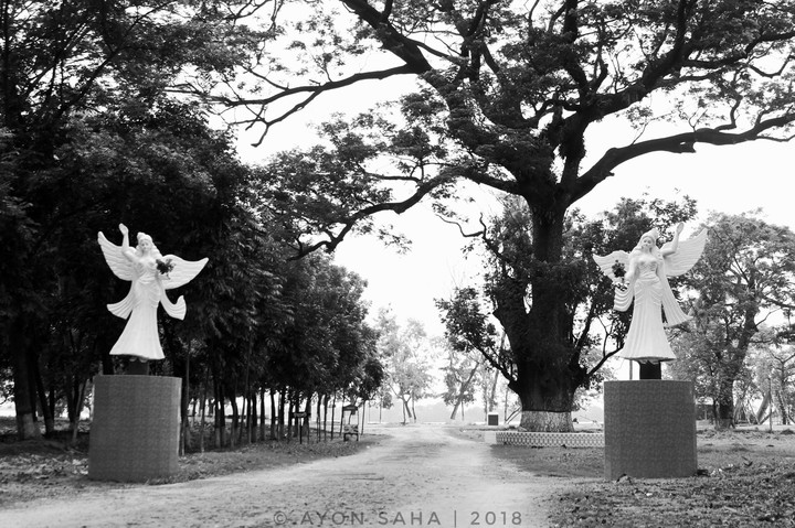 Black & White Capture