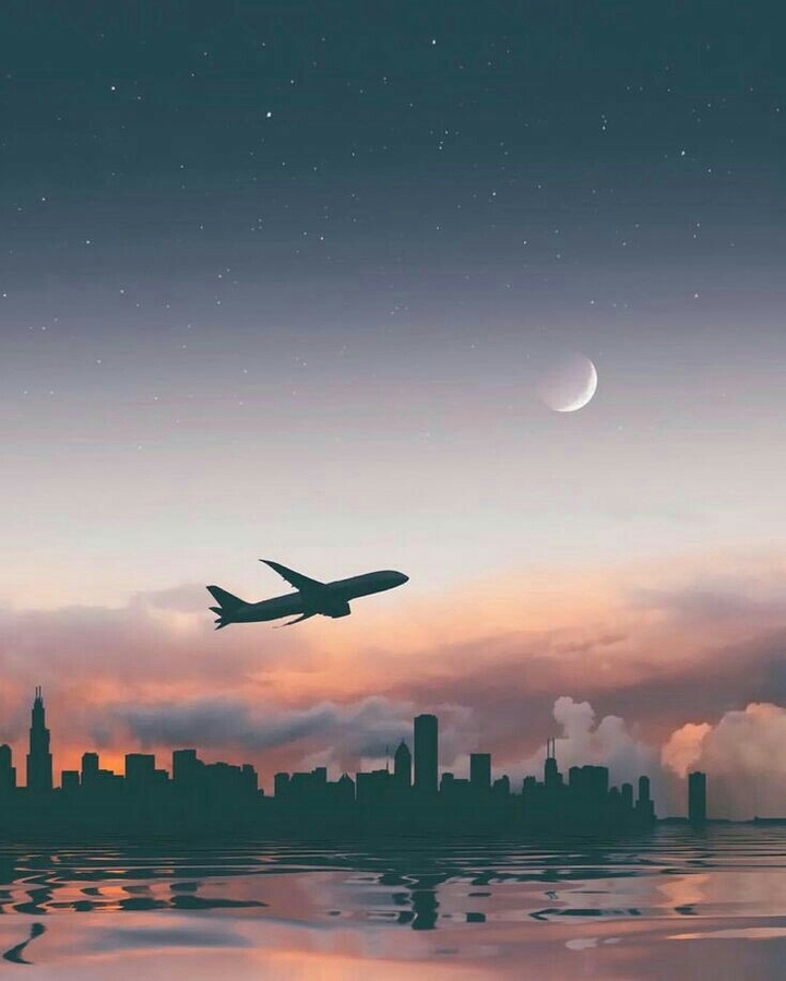 flight