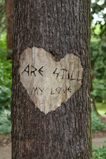 love