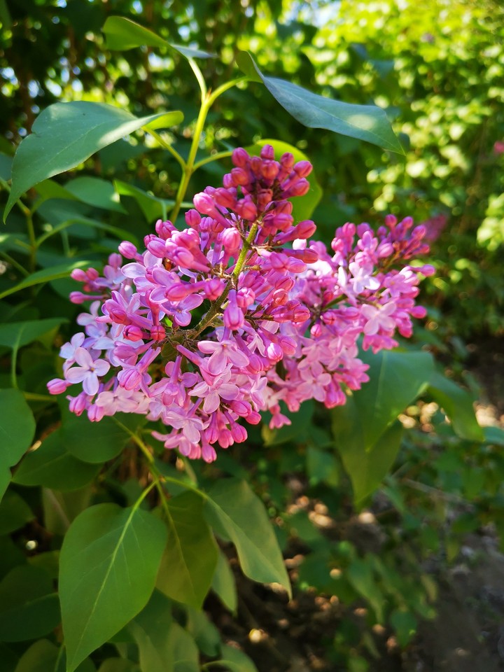 Frühling
