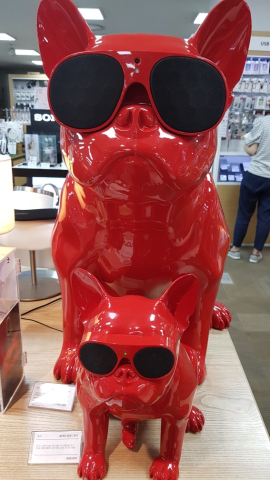 강쥐