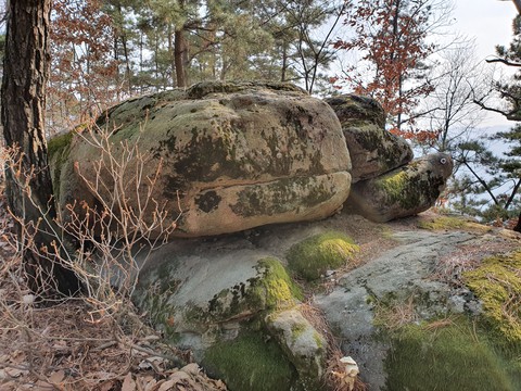 Rock 바위
