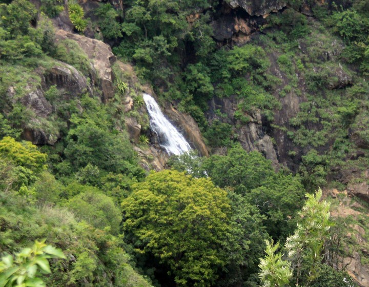 hill's water's