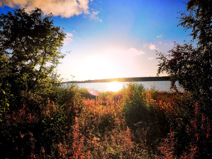 nature