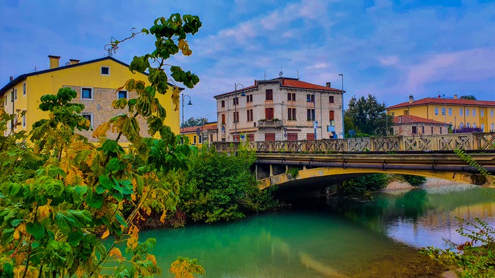 the birdge