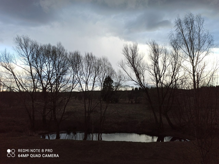 Early spring evening in countryside